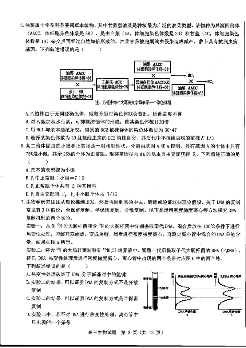 山东中学联盟2025届高三12月百校大联考生物试题_2024-2025高三（6-6月题库）_2024年12月试卷_1223山东省中学联盟百校大联考2024-2025学年高三上学期12月学情诊断（全科）