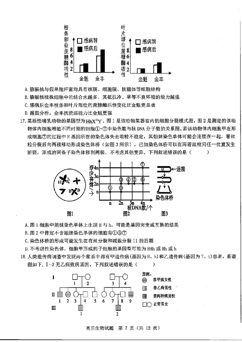 山东中学联盟2025届高三12月百校大联考生物试题_2024-2025高三（6-6月题库）_2024年12月试卷_1223山东省中学联盟百校大联考2024-2025学年高三上学期12月学情诊断（全科）