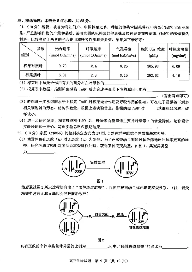 山东中学联盟2025届高三12月百校大联考生物试题_2024-2025高三（6-6月题库）_2024年12月试卷_1223山东省中学联盟百校大联考2024-2025学年高三上学期12月学情诊断（全科）