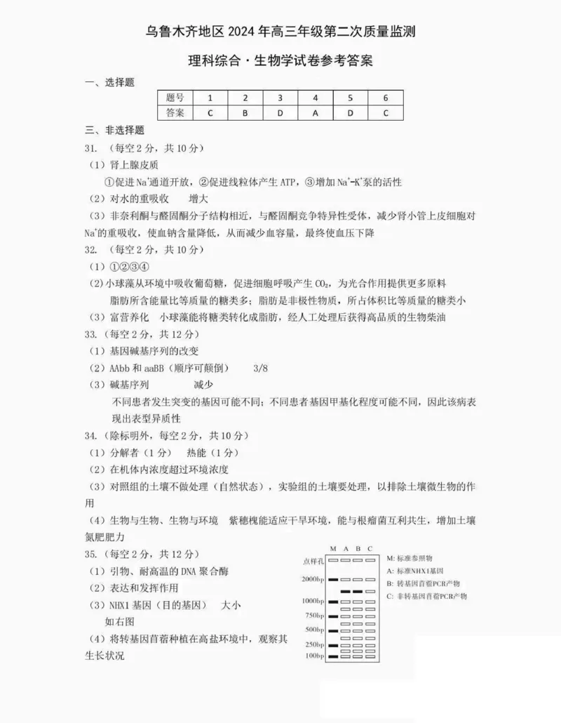 生物答案_2024年3月_013月合集_2024届新疆区乌鲁木齐高三下学期第二次质量监测_2024届新疆乌鲁木齐高三下学期第二次质量检测-理综试题