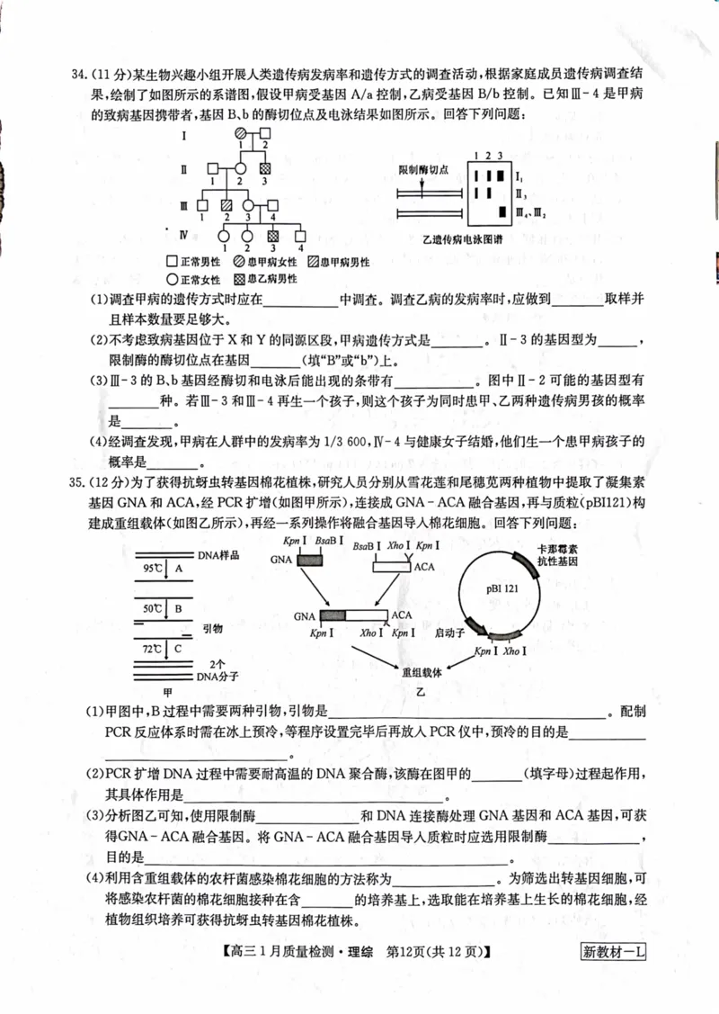 理综_2024年2月_01每日更新_01号_2024届九师联盟高三1月质量检测（新教材-L）_九师联盟2024届高三1月质量检测（新教材-L）理综