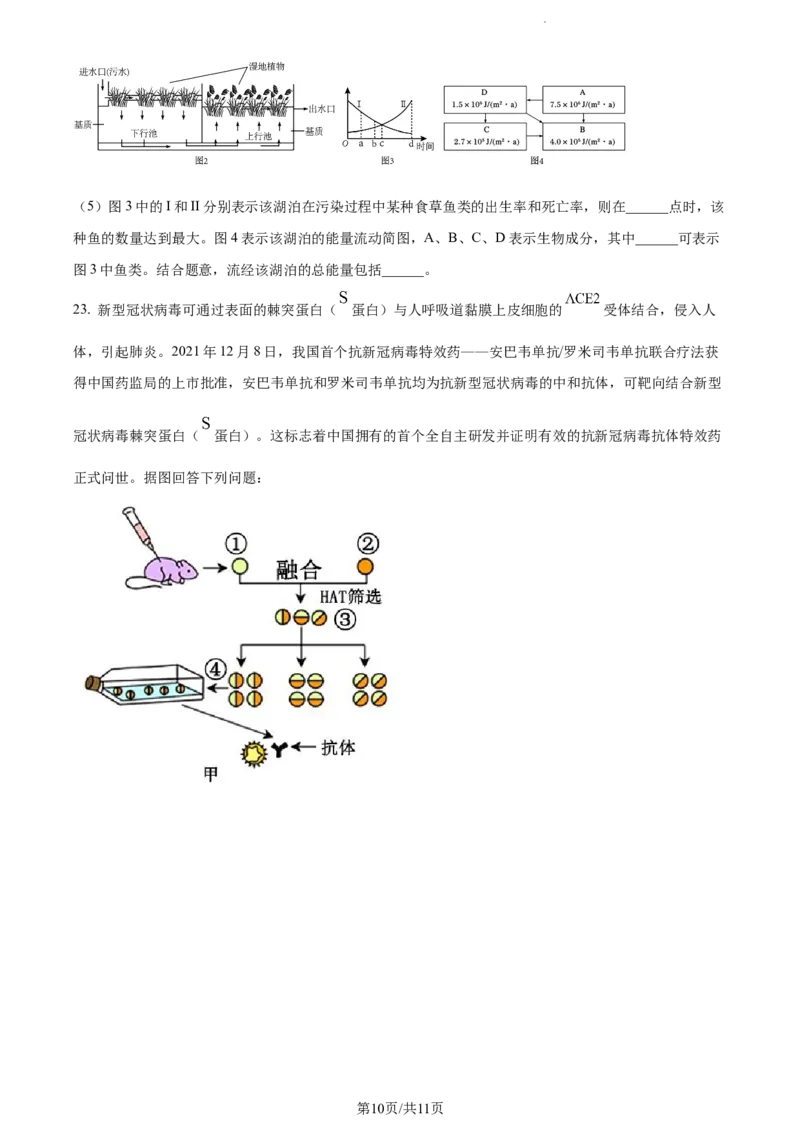 精品解析：河南省焦作市博爱县一中2023-2024学年高三11月期中生物试题（原卷版）(1)_2023年11月_0211月合集_2024届河南省焦作市博爱县第一中学高三上学期11月期中考试试题