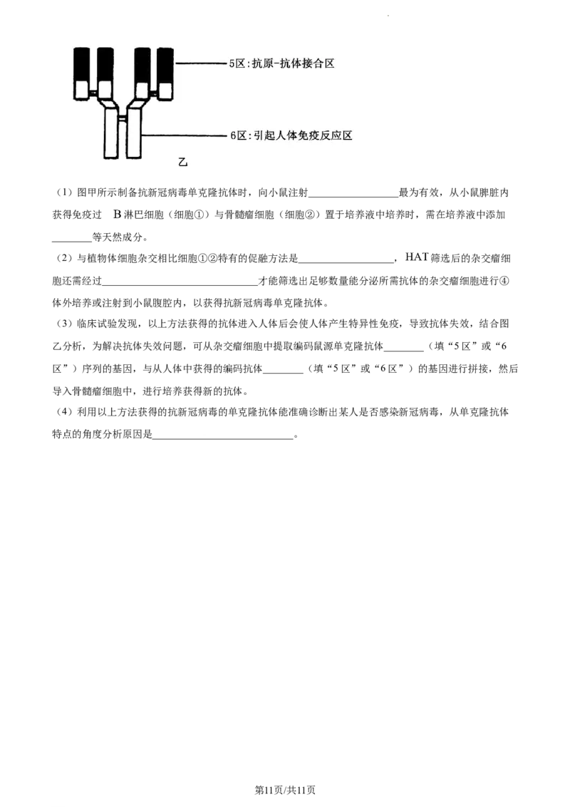 精品解析：河南省焦作市博爱县一中2023-2024学年高三11月期中生物试题（原卷版）(1)_2023年11月_0211月合集_2024届河南省焦作市博爱县第一中学高三上学期11月期中考试试题