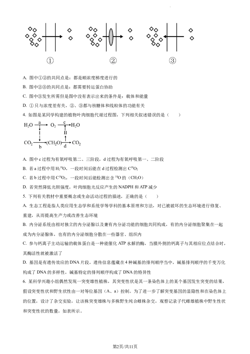 精品解析：河南省焦作市博爱县一中2023-2024学年高三11月期中生物试题（原卷版）(1)_2023年11月_0211月合集_2024届河南省焦作市博爱县第一中学高三上学期11月期中考试试题