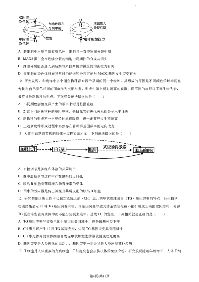 精品解析：河南省焦作市博爱县一中2023-2024学年高三11月期中生物试题（原卷版）(1)_2023年11月_0211月合集_2024届河南省焦作市博爱县第一中学高三上学期11月期中考试试题