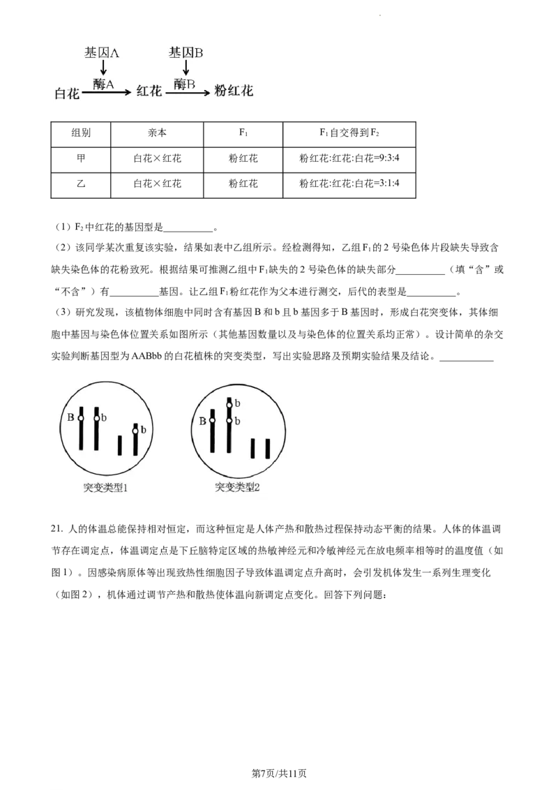 精品解析：河南省焦作市博爱县一中2023-2024学年高三11月期中生物试题（原卷版）(1)_2023年11月_0211月合集_2024届河南省焦作市博爱县第一中学高三上学期11月期中考试试题