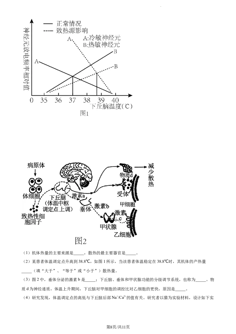 精品解析：河南省焦作市博爱县一中2023-2024学年高三11月期中生物试题（原卷版）(1)_2023年11月_0211月合集_2024届河南省焦作市博爱县第一中学高三上学期11月期中考试试题
