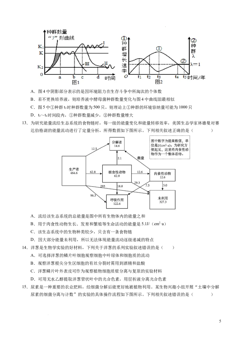 八省2025届高三&ldquo;八省联考&rdquo;考前猜想卷生物（16+5）考试版A4_2024-2025高三（6-6月题库）_2025年01月试卷_01012025届高三&ldquo;八省联考&rdquo;考前猜想卷