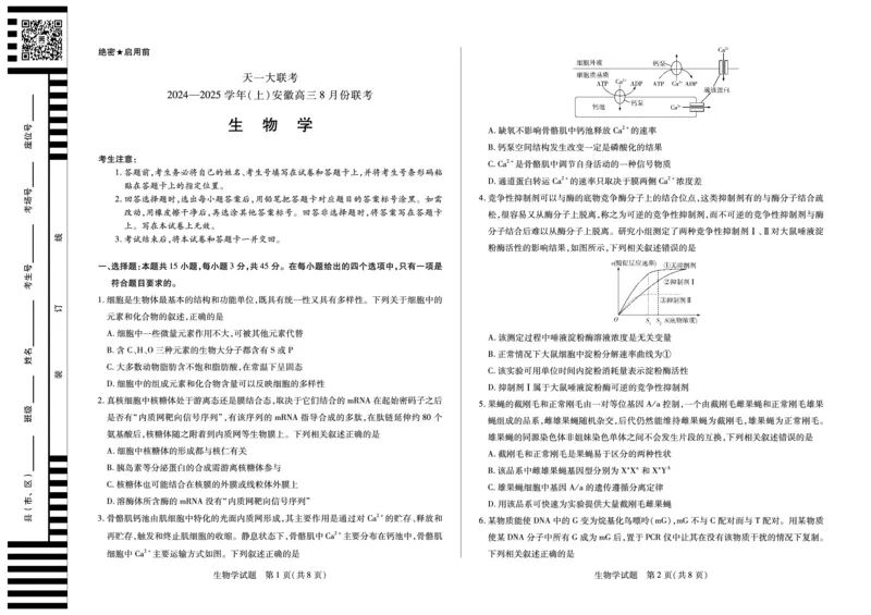天一大联考2024-2025学年（上）安徽高三8月份联考生物试卷_2024-2025高三（6-6月题库）_2024年08月试卷_0830天一大联考2024-2025学年（上）安徽高三8月份联考