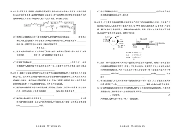 天一大联考2024-2025学年（上）安徽高三8月份联考生物试卷_2024-2025高三（6-6月题库）_2024年08月试卷_0830天一大联考2024-2025学年（上）安徽高三8月份联考