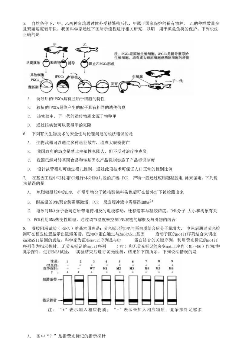 山东省泰安市2024-2025学年高二下学期4月期中考试生物Word版含答案_2024-2025高二（7-7月题库）_2025年05月试卷_0530山东省泰安市2024-2025学年高二下学期4月期中考试