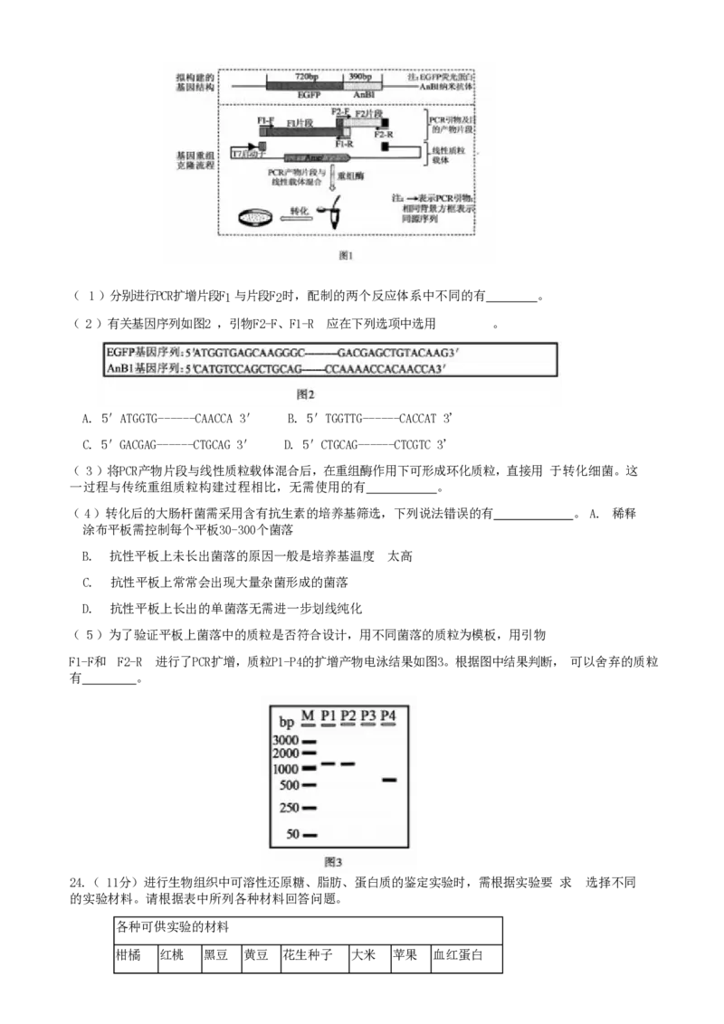 山东省泰安市2024-2025学年高二下学期4月期中考试生物Word版含答案_2024-2025高二（7-7月题库）_2025年05月试卷_0530山东省泰安市2024-2025学年高二下学期4月期中考试