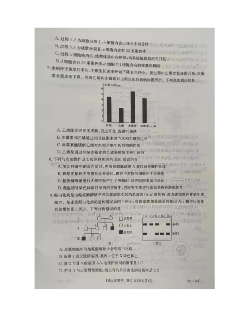 重庆市璧山来凤中学等多校联考2023-2024学年高三下学期3月月考生物试题_2024年3月_013月合集_2024届重庆好教育联盟金太阳联考高三3月联考（24-340C）
