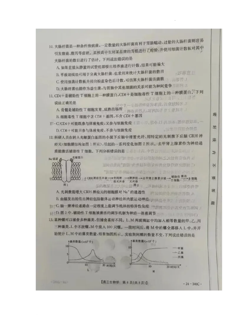 重庆市璧山来凤中学等多校联考2023-2024学年高三下学期3月月考生物试题_2024年3月_013月合集_2024届重庆好教育联盟金太阳联考高三3月联考（24-340C）