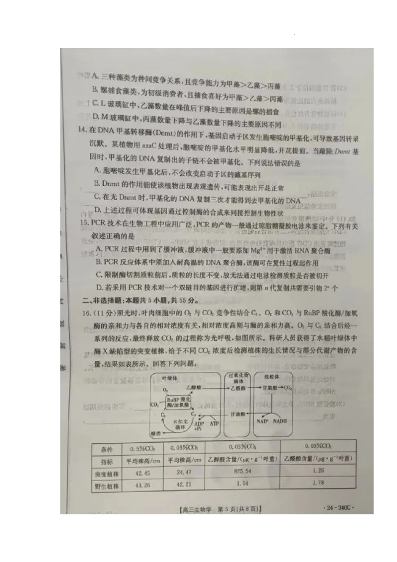 重庆市璧山来凤中学等多校联考2023-2024学年高三下学期3月月考生物试题_2024年3月_013月合集_2024届重庆好教育联盟金太阳联考高三3月联考（24-340C）