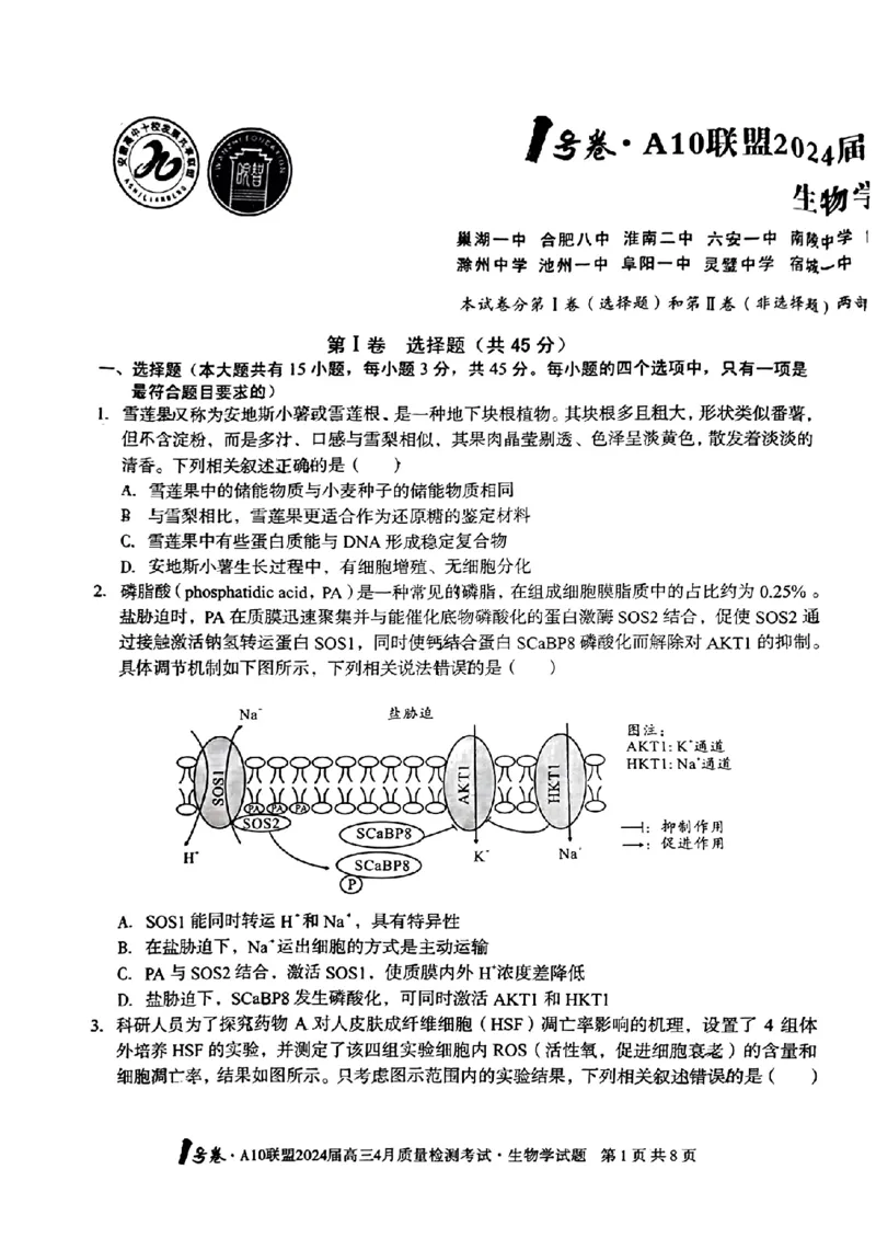 生物试题_2024年4月_01按日期_15号_2024届安徽省1号卷A10联盟高三4月质量检测_2024届安徽省1号卷A10联盟高三4月质量检测-生物