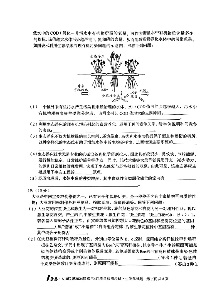 生物试题_2024年4月_01按日期_15号_2024届安徽省1号卷A10联盟高三4月质量检测_2024届安徽省1号卷A10联盟高三4月质量检测-生物