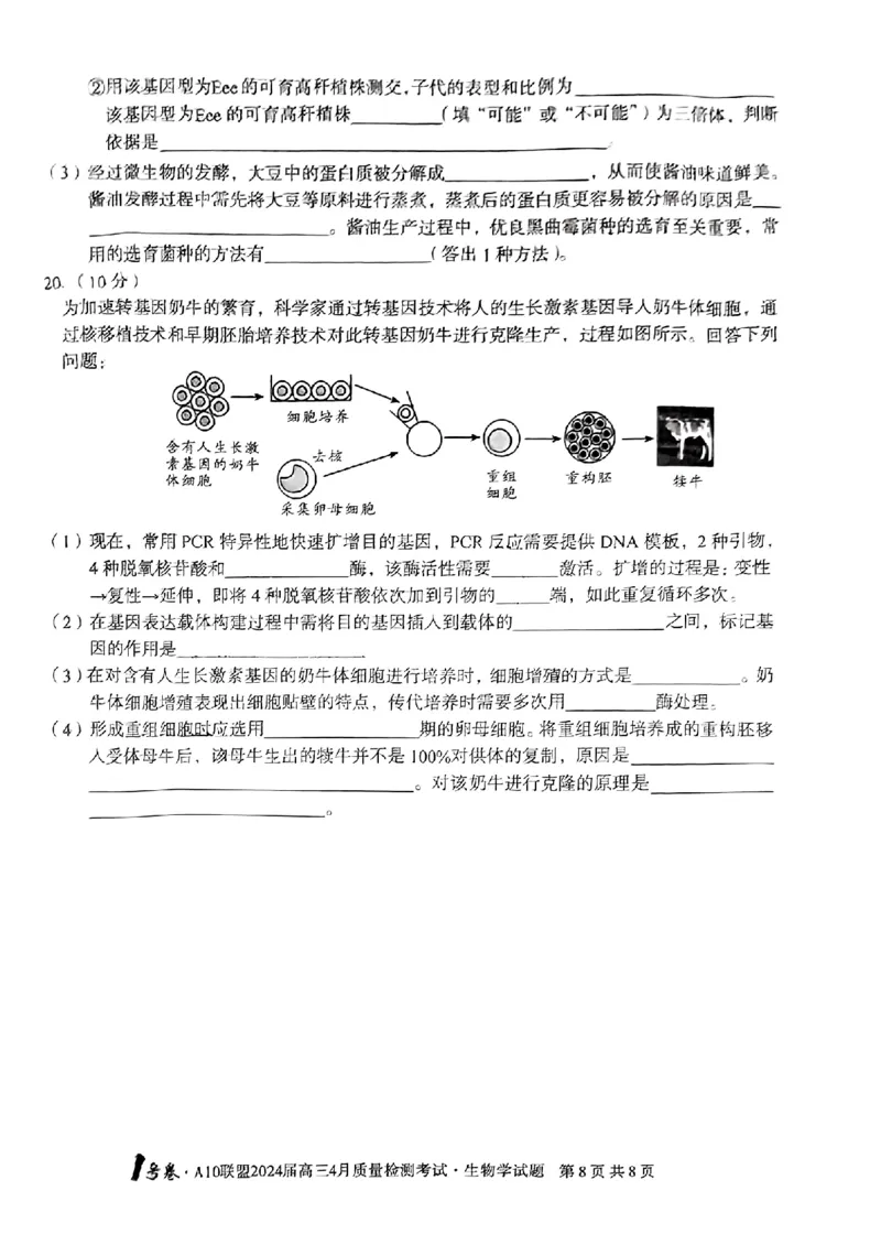 生物试题_2024年4月_01按日期_15号_2024届安徽省1号卷A10联盟高三4月质量检测_2024届安徽省1号卷A10联盟高三4月质量检测-生物