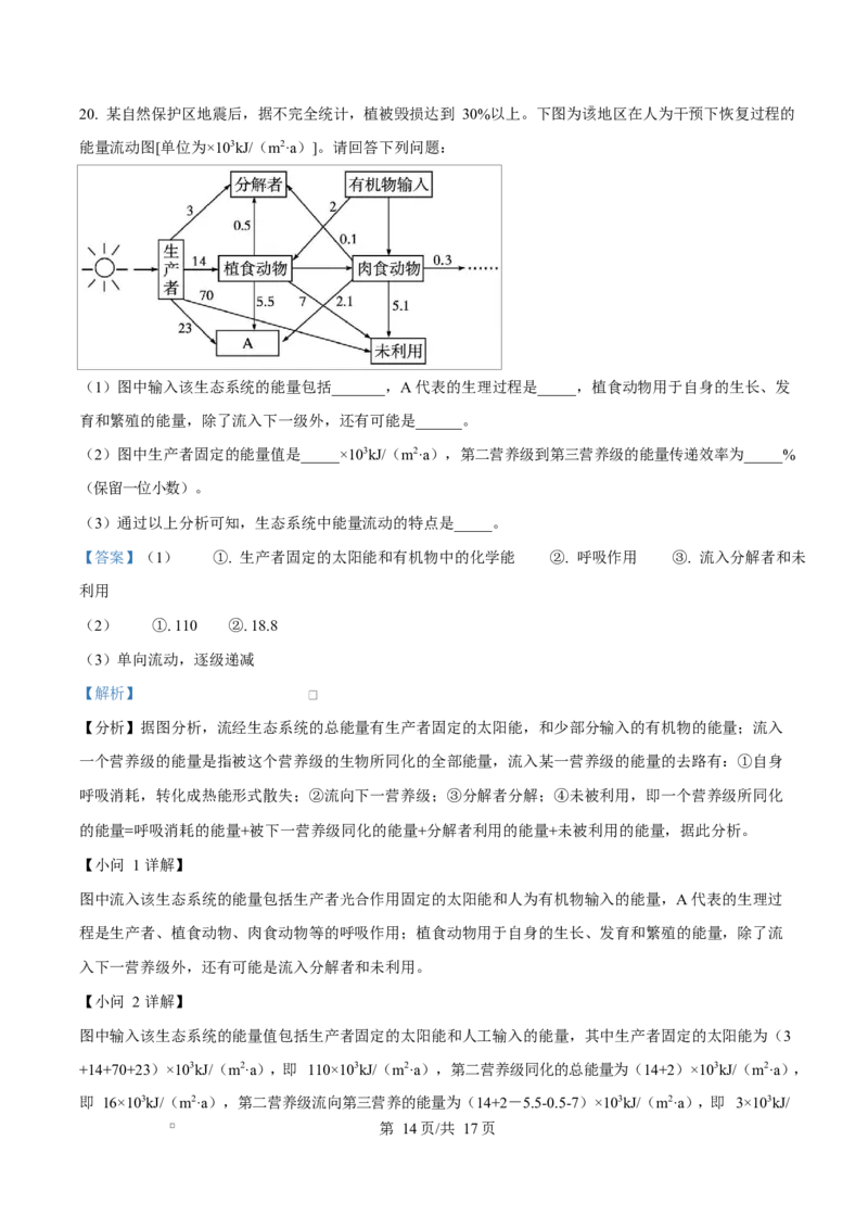湖北省黄冈市黄梅县育才高级中学2024-2025学年高二下学期2月月考生物试题　Word版含解析_2024-2025高二（7-7月题库）_2025年03月试卷
