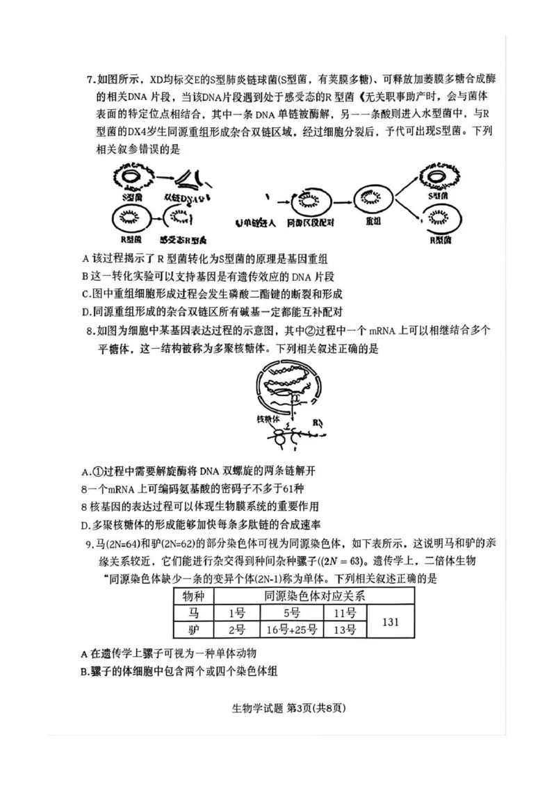 安徽省2024-2025学年高三上学期12月联考生物试卷（PDF版，无答案）_2024-2025高三（6-6月题库）_2024年12月试卷_1223天一大联考安徽2025届高三12月联考_天一大联考安徽2025届高三12月联考生物