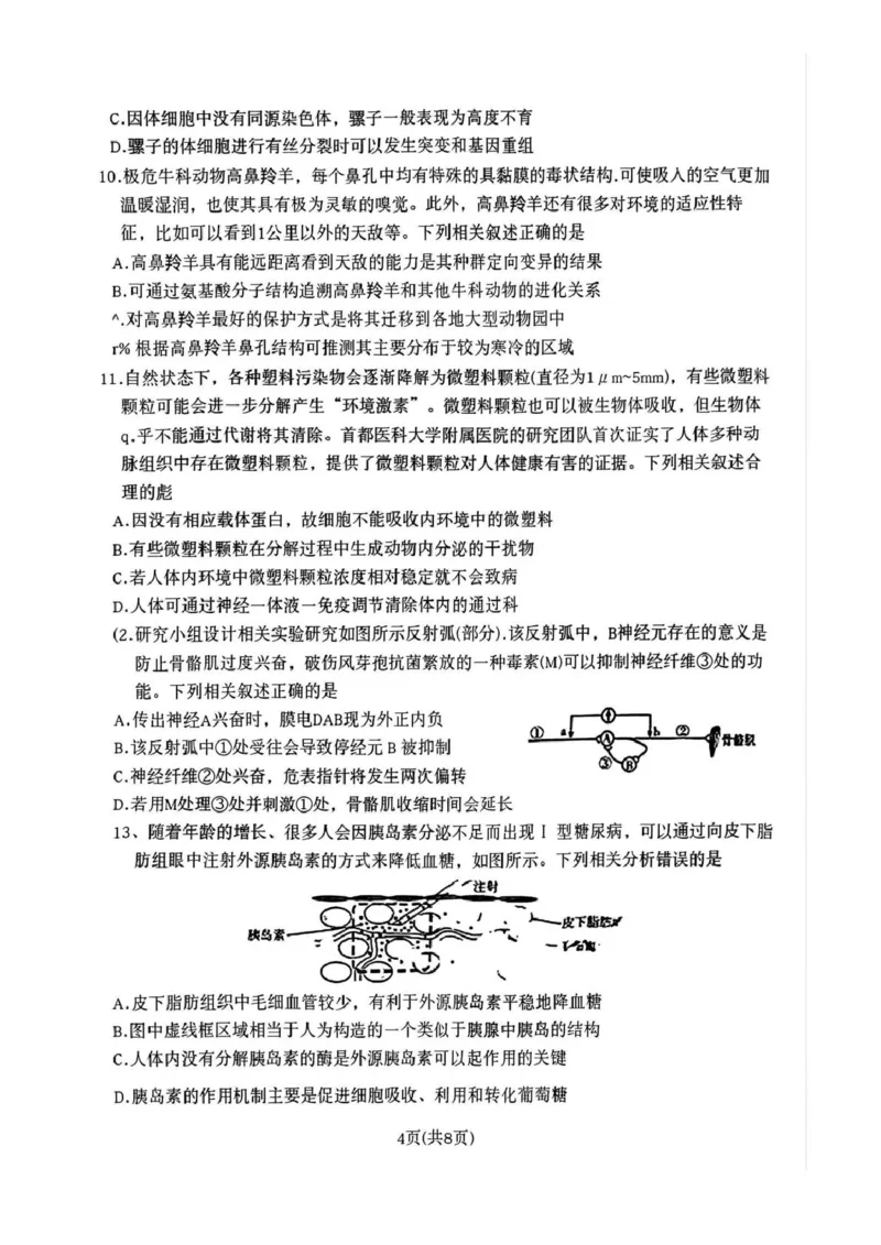 安徽省2024-2025学年高三上学期12月联考生物试卷（PDF版，无答案）_2024-2025高三（6-6月题库）_2024年12月试卷_1223天一大联考安徽2025届高三12月联考_天一大联考安徽2025届高三12月联考生物