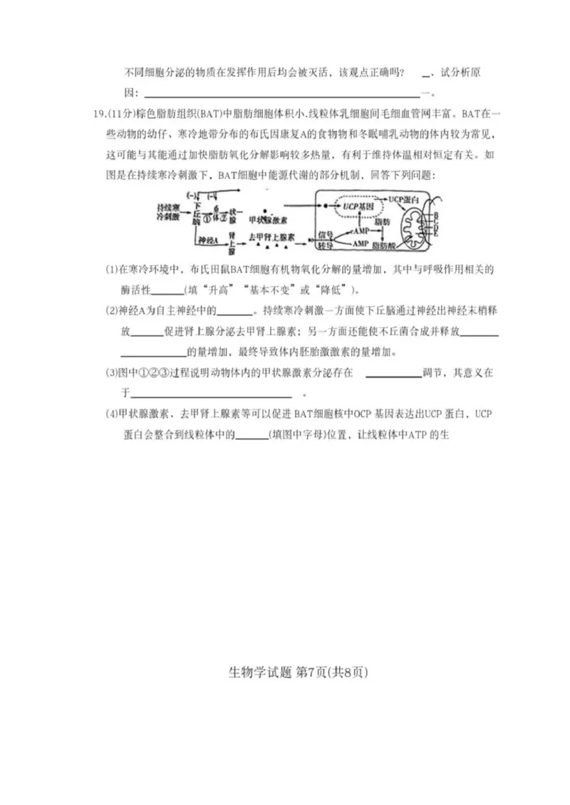 安徽省2024-2025学年高三上学期12月联考生物试卷（PDF版，无答案）_2024-2025高三（6-6月题库）_2024年12月试卷_1223天一大联考安徽2025届高三12月联考_天一大联考安徽2025届高三12月联考生物