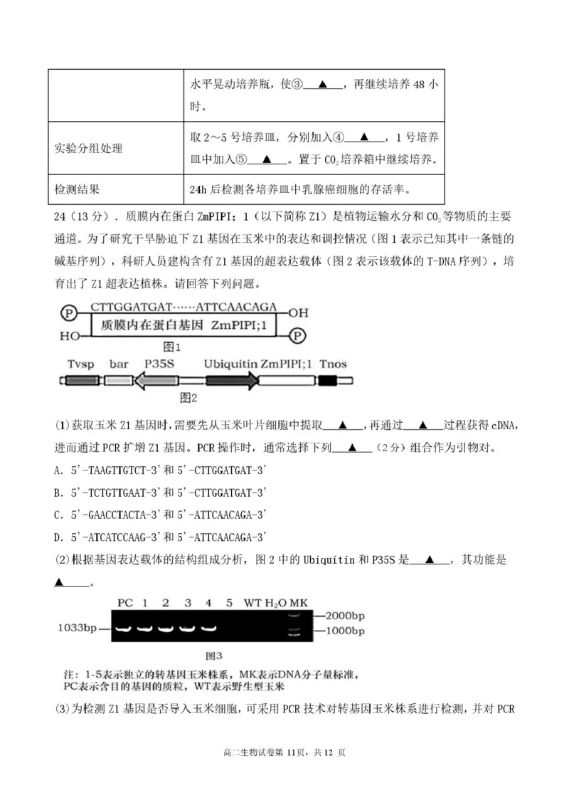 江苏省盐城市五校联考2024-2025学年高二下学期5月期中生物试题（扫描版，含答案）_2024-2025高二（7-7月题库）_2025年05月试卷_0520江苏省盐城市五校2024-2025学年高二下学期5月期中