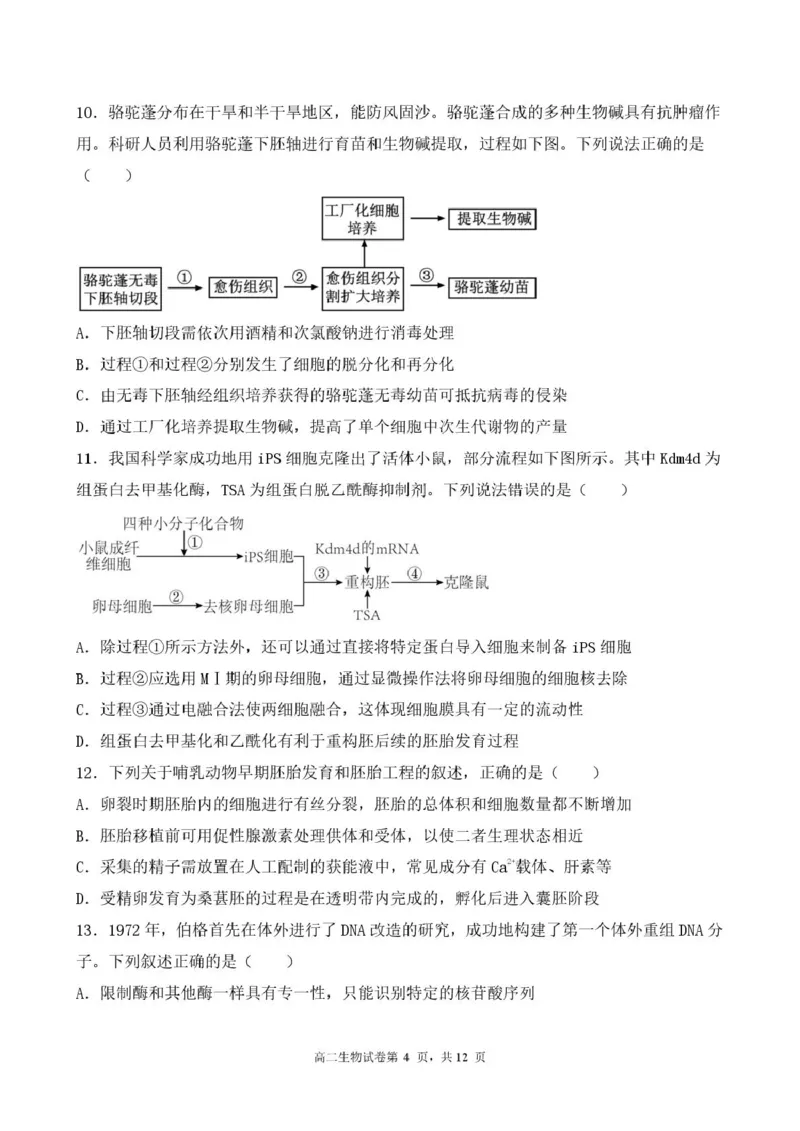 江苏省盐城市五校联考2024-2025学年高二下学期5月期中生物试题（扫描版，含答案）_2024-2025高二（7-7月题库）_2025年05月试卷_0520江苏省盐城市五校2024-2025学年高二下学期5月期中
