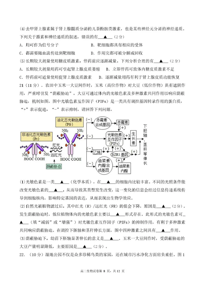 江苏省盐城市五校联考2024-2025学年高二下学期5月期中生物试题（扫描版，含答案）_2024-2025高二（7-7月题库）_2025年05月试卷_0520江苏省盐城市五校2024-2025学年高二下学期5月期中