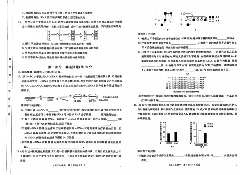 广东省广东省部分高中学校联考2024-2025学年高三上学期11月期中生物试题_2024-2025高三（6-6月题库）_2024年11月试卷_11302025届广东高三金太阳11月联考（全科）