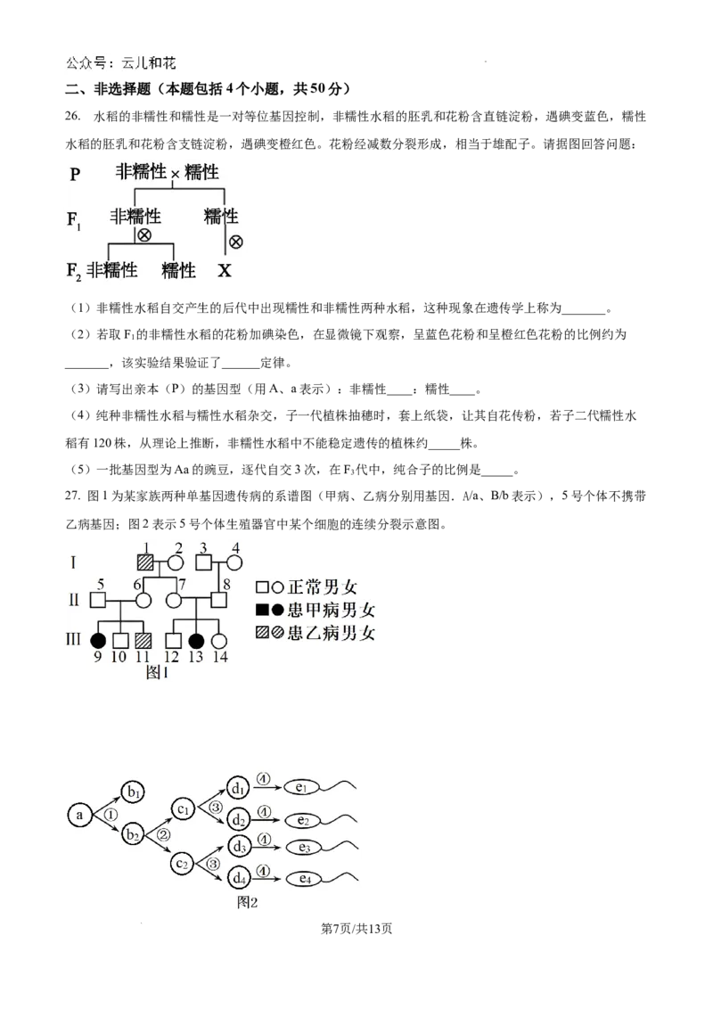 四川省绵阳南山中学2024-2025学年高二上学期9月月考生物试题_2024-2025高二（7-7月题库）_2024年09月试卷_0926四川绵阳南山中学2024年高二9月月考