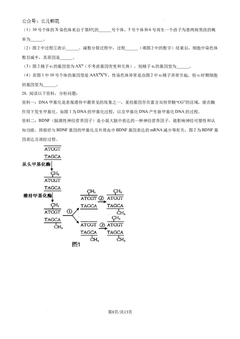 四川省绵阳南山中学2024-2025学年高二上学期9月月考生物试题_2024-2025高二（7-7月题库）_2024年09月试卷_0926四川绵阳南山中学2024年高二9月月考