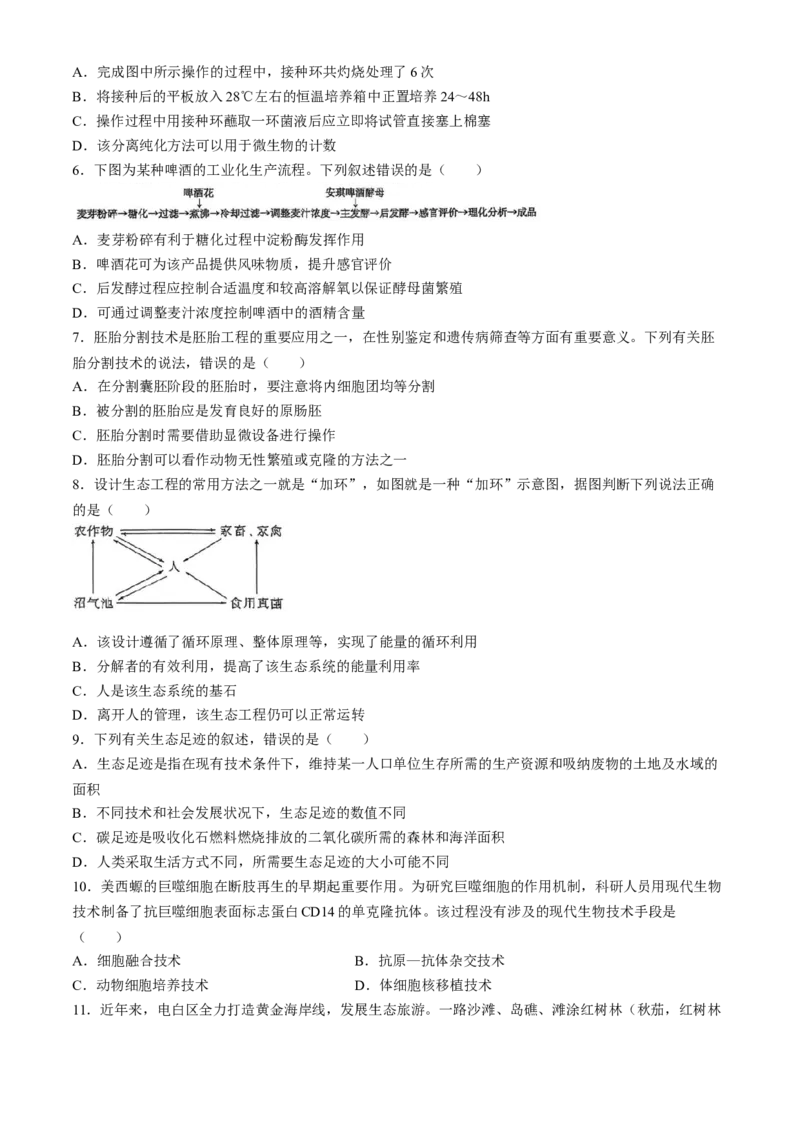 广东省茂名市电白区2024-2025学年高二下学期期中考试生物Word版含答案_2024-2025高二（7-7月题库）_2025年05月试卷_0519广东省茂名市电白区2024-2025学年高二下学期期中考试