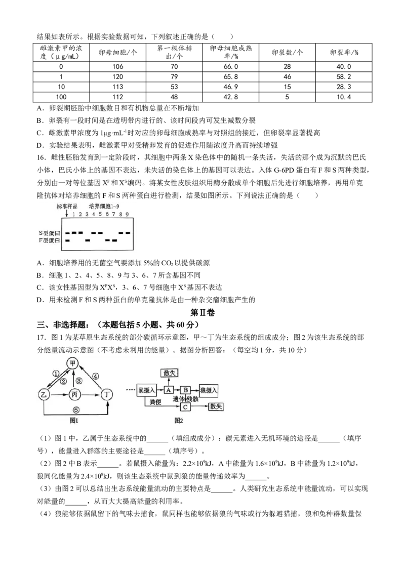 广东省茂名市电白区2024-2025学年高二下学期期中考试生物Word版含答案_2024-2025高二（7-7月题库）_2025年05月试卷_0519广东省茂名市电白区2024-2025学年高二下学期期中考试