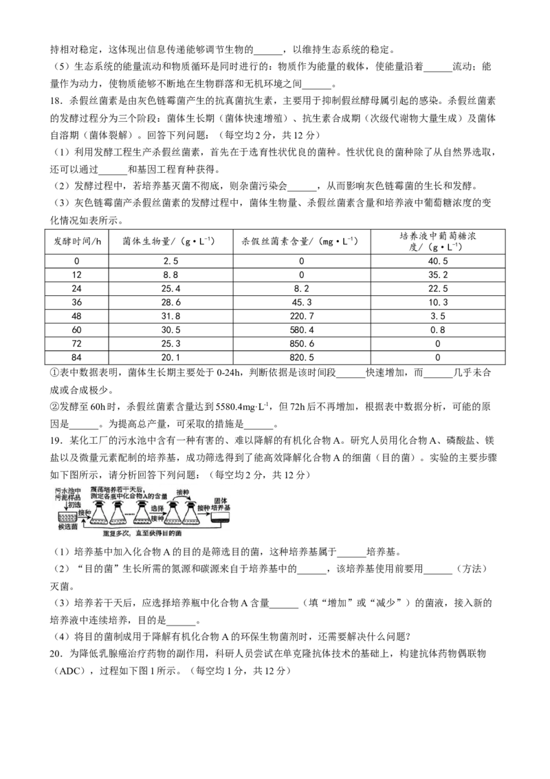 广东省茂名市电白区2024-2025学年高二下学期期中考试生物Word版含答案_2024-2025高二（7-7月题库）_2025年05月试卷_0519广东省茂名市电白区2024-2025学年高二下学期期中考试