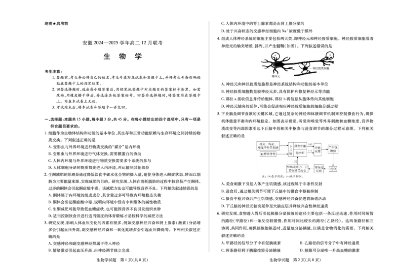 安徽省2024-2025学年高二上学期12月联考试题生物PDF版含解析_2024-2025高二（7-7月题库）_2025年01月试卷_0109安徽省2024-2025学年高二上学期12月联考试题