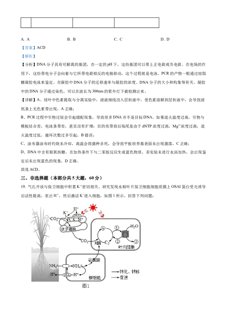 精品解析：江苏省南京市六校联合体2023-2024学年高三10月联合调研生物试题（解析版）(1)_2023年11月_0211月合集_2024届江苏省南京市六校联合体高三上学期10月联合调研