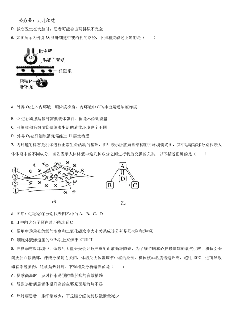 吉林省梅河口市第五中学2024-2025学年高二上学期9月月考生物试题_2024-2025高二（7-7月题库）_2024年10月试卷_1006吉林省梅河口市第五中学2024-2025学年高二上学期9月月考