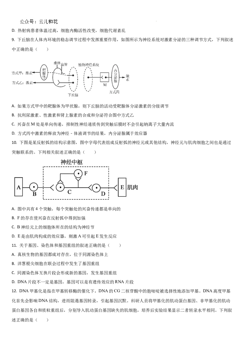 吉林省梅河口市第五中学2024-2025学年高二上学期9月月考生物试题_2024-2025高二（7-7月题库）_2024年10月试卷_1006吉林省梅河口市第五中学2024-2025学年高二上学期9月月考