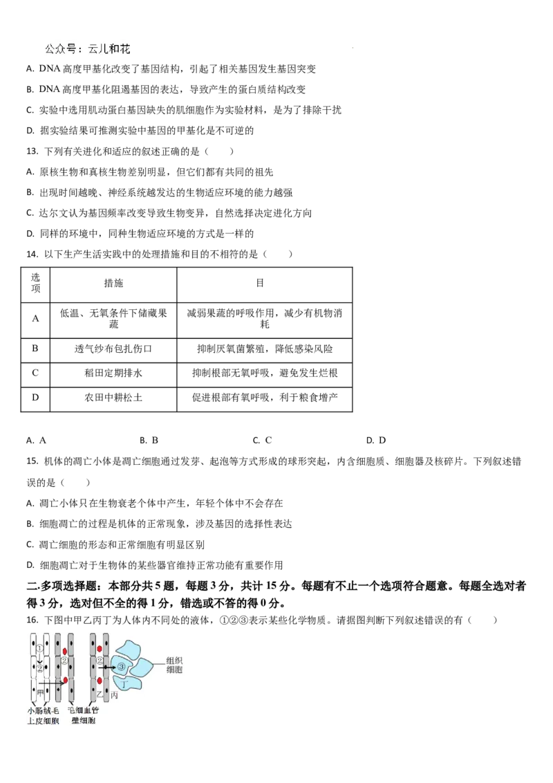 吉林省梅河口市第五中学2024-2025学年高二上学期9月月考生物试题_2024-2025高二（7-7月题库）_2024年10月试卷_1006吉林省梅河口市第五中学2024-2025学年高二上学期9月月考