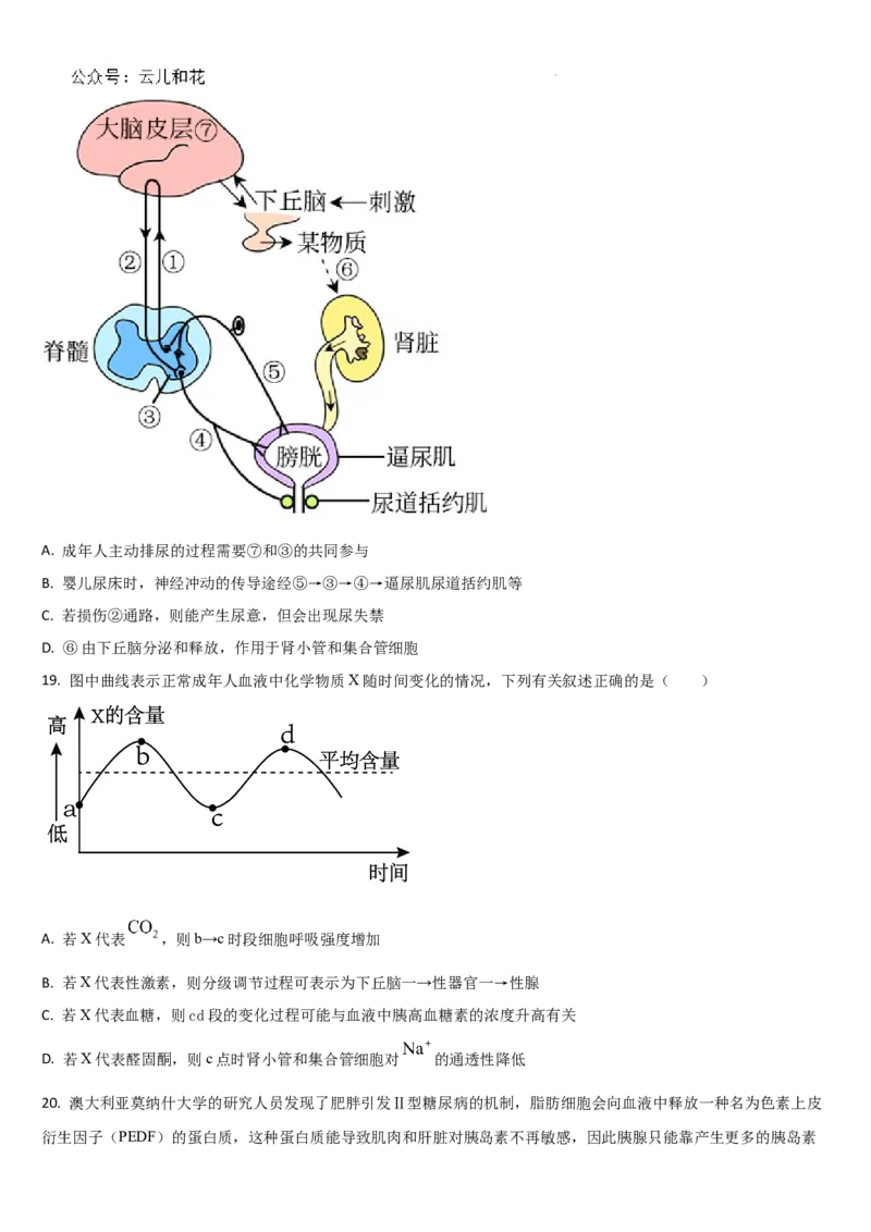 吉林省梅河口市第五中学2024-2025学年高二上学期9月月考生物试题_2024-2025高二（7-7月题库）_2024年10月试卷_1006吉林省梅河口市第五中学2024-2025学年高二上学期9月月考