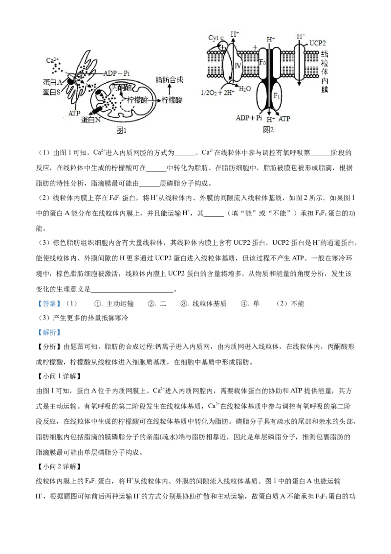 湖北省武汉市华中师范大学第一附属中学2023-2024学年高三期中生物试题Word版含解析(1)_2023年11月_0211月合集_2024届湖北省华中师范大学第一附属中学高三上学期11月期中