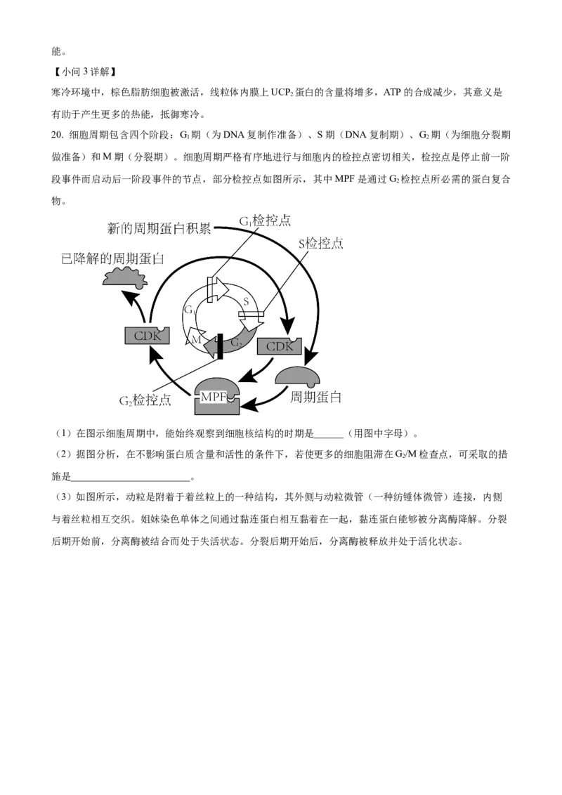 湖北省武汉市华中师范大学第一附属中学2023-2024学年高三期中生物试题Word版含解析(1)_2023年11月_0211月合集_2024届湖北省华中师范大学第一附属中学高三上学期11月期中