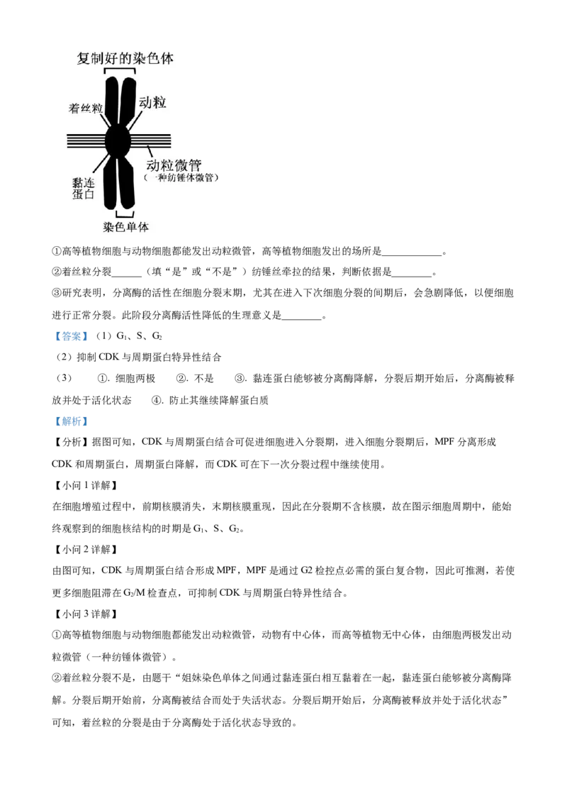 湖北省武汉市华中师范大学第一附属中学2023-2024学年高三期中生物试题Word版含解析(1)_2023年11月_0211月合集_2024届湖北省华中师范大学第一附属中学高三上学期11月期中
