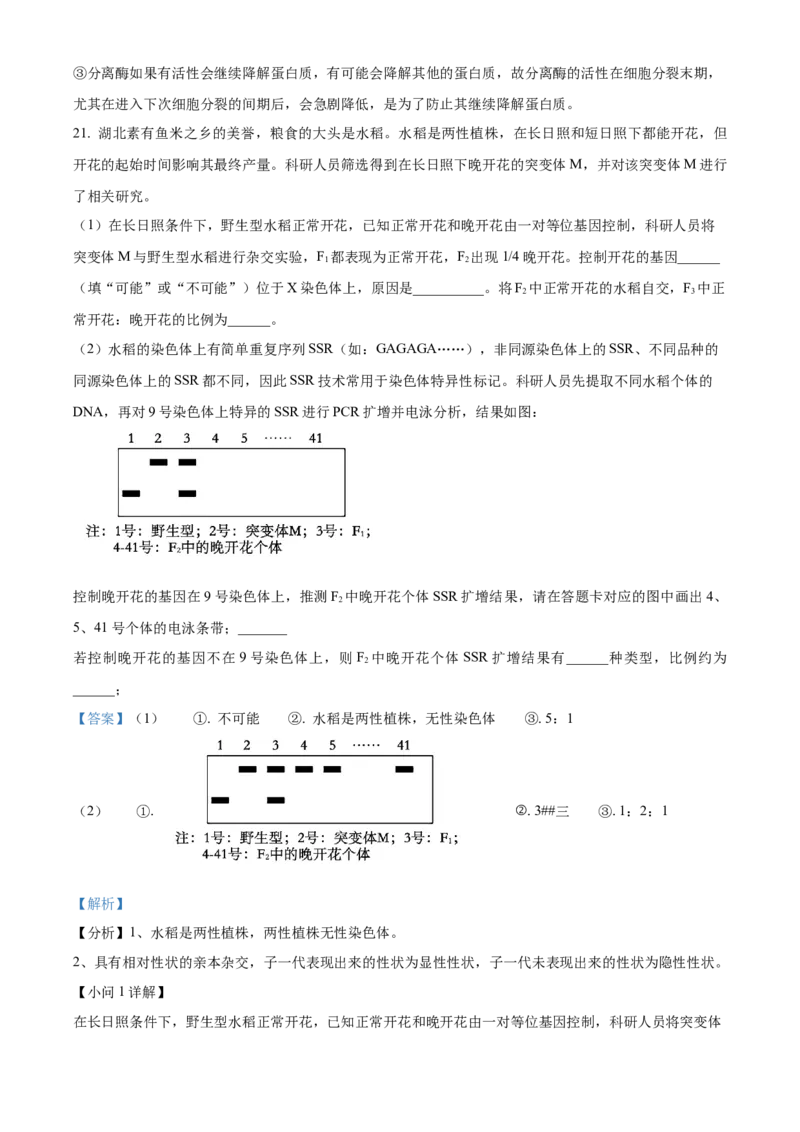 湖北省武汉市华中师范大学第一附属中学2023-2024学年高三期中生物试题Word版含解析(1)_2023年11月_0211月合集_2024届湖北省华中师范大学第一附属中学高三上学期11月期中