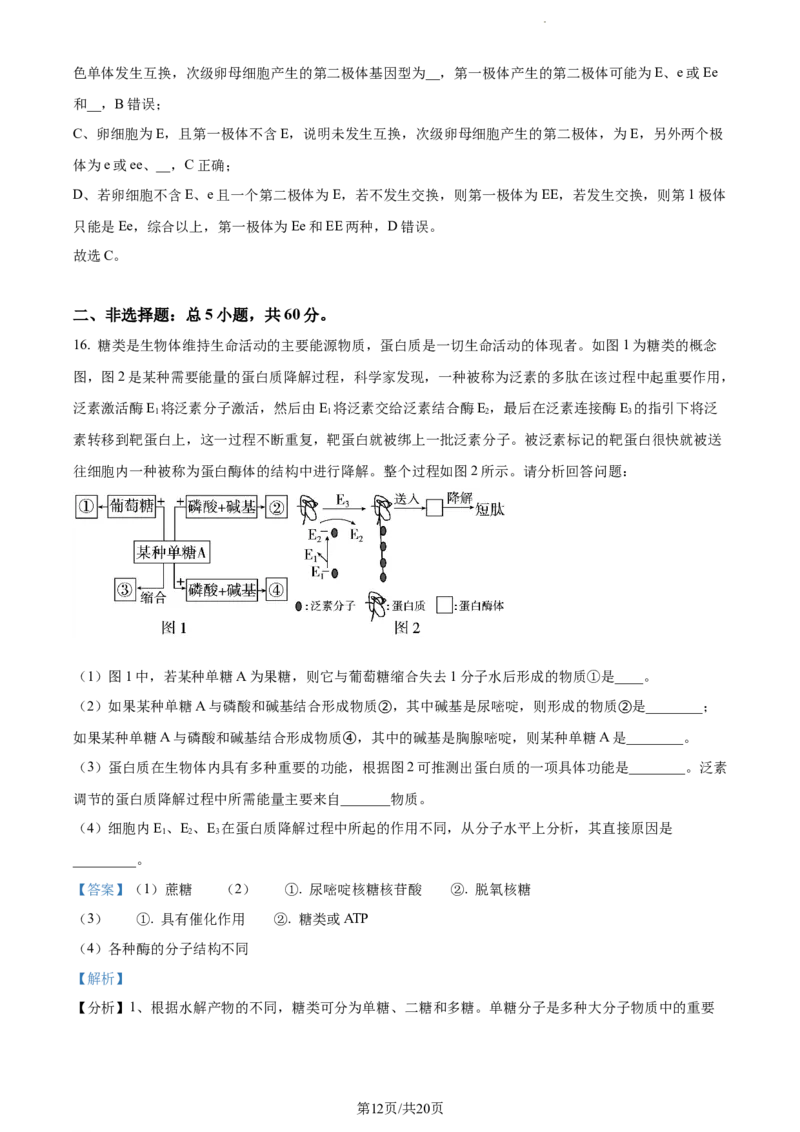 精品解析：福建省宁德市德化一中2023-2024学年高三上学期第一次月考生物试题（解析版）(1)_2023年11月_0211月合集_2024届福建省泉州市德化第一中学高三上学期第一次月考
