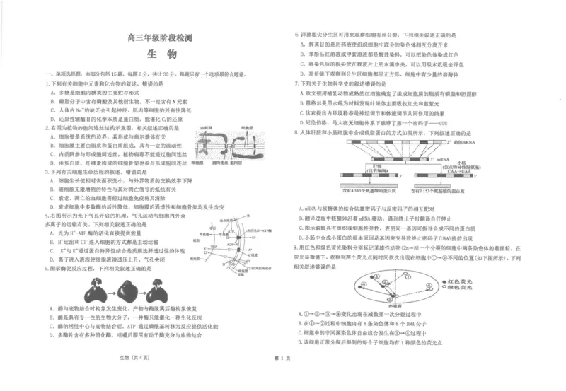 江苏省海安高级中学2024-2025学年高三上学期12月月考生物试题(pdf版，含答案）_2024-2025高三（6-6月题库）_2024年12月试卷_1217江苏省海安高级中学2024-2025学年高三上学期12月月考