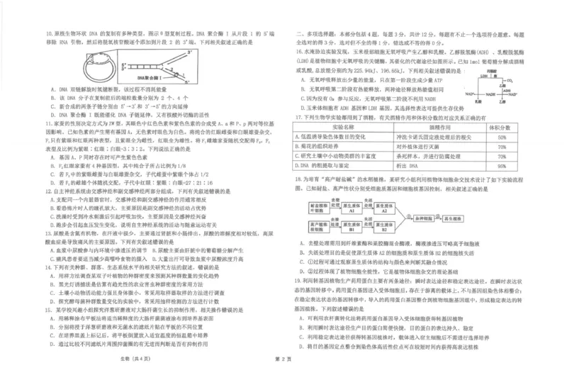 江苏省海安高级中学2024-2025学年高三上学期12月月考生物试题(pdf版，含答案）_2024-2025高三（6-6月题库）_2024年12月试卷_1217江苏省海安高级中学2024-2025学年高三上学期12月月考