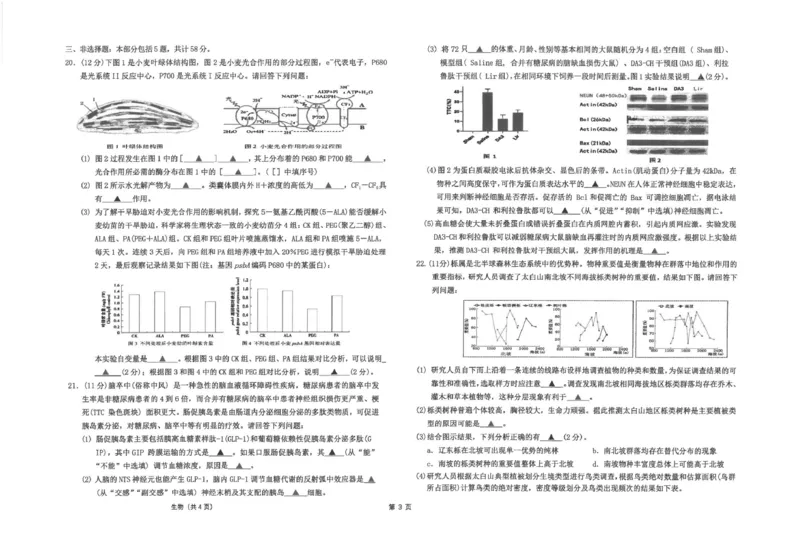 江苏省海安高级中学2024-2025学年高三上学期12月月考生物试题(pdf版，含答案）_2024-2025高三（6-6月题库）_2024年12月试卷_1217江苏省海安高级中学2024-2025学年高三上学期12月月考