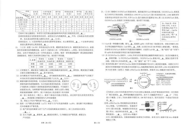 江苏省海安高级中学2024-2025学年高三上学期12月月考生物试题(pdf版，含答案）_2024-2025高三（6-6月题库）_2024年12月试卷_1217江苏省海安高级中学2024-2025学年高三上学期12月月考